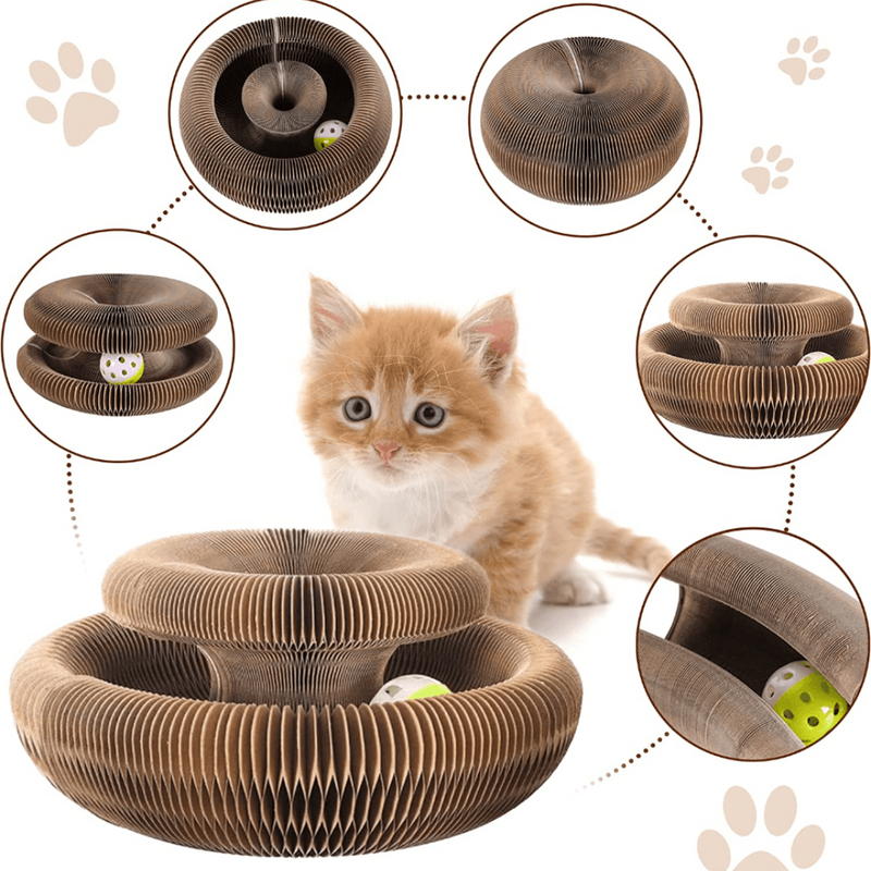 Brinquedo Interativo Para Gatos I Cat Joy + 1 Bola de Brinde - Armazem JS