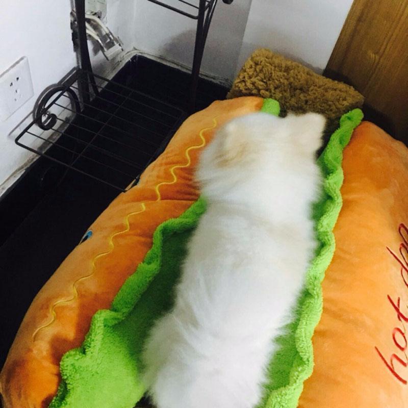 Cama para Pets - Hot Dog - Armazem JS