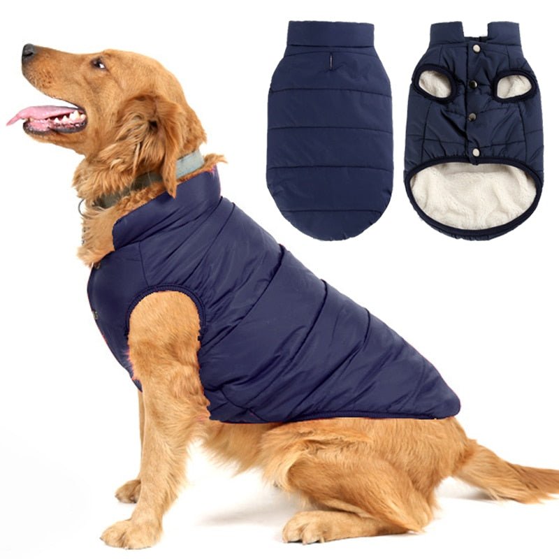 Colete Pet Steve™ | Roupa Para Cachorro - Armazem JS