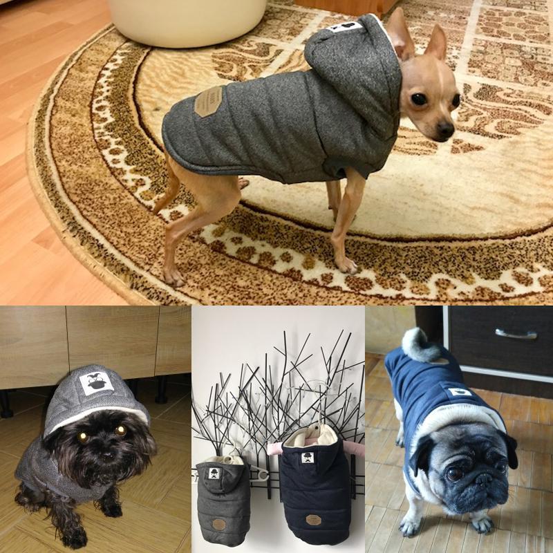 Colete de Inverno para Cachorros | Gentleman - Armazem JS